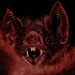 Avatar de n4shini