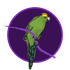 Avatar for parrots_ece