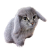 Avatar for sneakysquid1