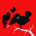 Avatar for Noll__