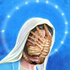 clockwisecarrot için avatar