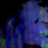 Avatar for FFFFFFFFilt