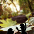 Avatar for funny_rooftop