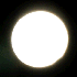 Avatar for paeo1e