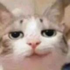 Avatar for spork_bradpitt