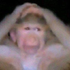 Skyler_k9 için avatar