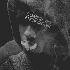 Avatar for Corpsezzz