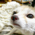 Avatar for nyxiwyxi