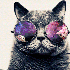 Avatar di aaha_126p
