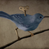 Avatar di ZARD1337