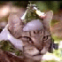 Avatar for Spuelkasten3D