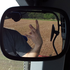 da_rulah için avatar