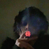 Avatar for h3ll0k1ttyg0r3