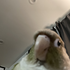 Avatar di ZombiesAteMyCow