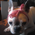 Avatar di londongogogirl