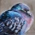Avatar for pointnemo_bay