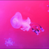 Avatar for Wrathsheep