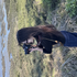 Avatar for mymelodeez