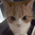 Avatar for ekiin777