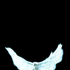 Avatar for YzySzn69