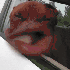 Avatar di EoAlto