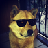 KruumsLV için avatar
