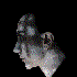 Avatar for Alien Skin