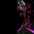 Avatar for robert_palko
