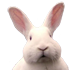 Avatar for Step_Maltsev