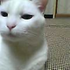 Avatar für 46neko