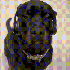 Avatar for aprilandaflower