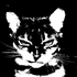 Avatar for strawblele