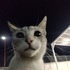 Avatar for osvvxp