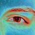 Avatar for cat_mandu