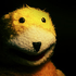 Avatar for marakoss