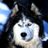 Avatar di Facelessname