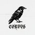 Avatar for CORVVS