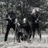 Avatar di Ancestral Blood