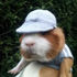 Avatar for PietroDMG