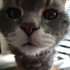 Avatar di Animeniac_Simey