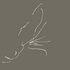 Avatar for Gris Gris