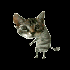 Avatar for kropeq