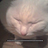 Аватар для ashmtz1258