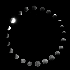 Avatar for No-Bones