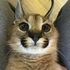 Avatar für padisoft