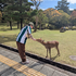 Avatar de Witzelsucht