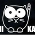 Avatar for Kami-Katze