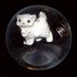 Avatar for diesl0vis