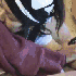 Avatar for pucchans