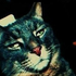 Avatar for N_Dee10
